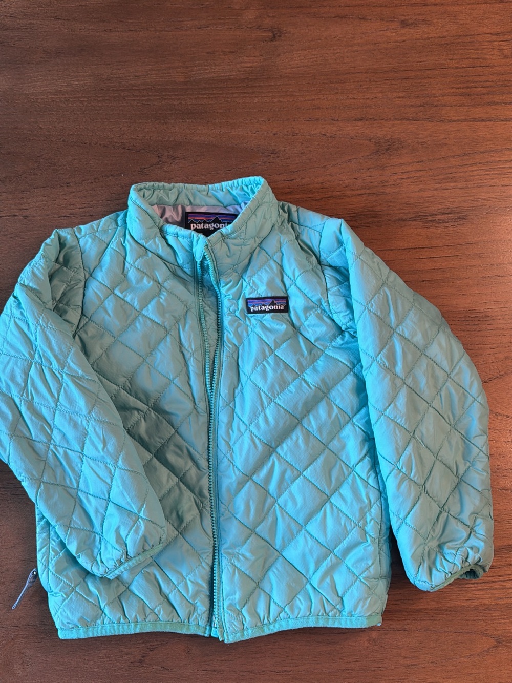 Patagonia Kids Aqua Quilted Puffer Jacket